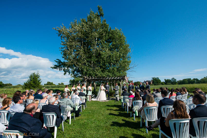 field_of_west_lake-wedding-14