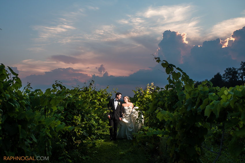 holland_marsh_wineries_wedding-21